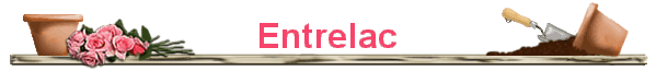 Entrelac
